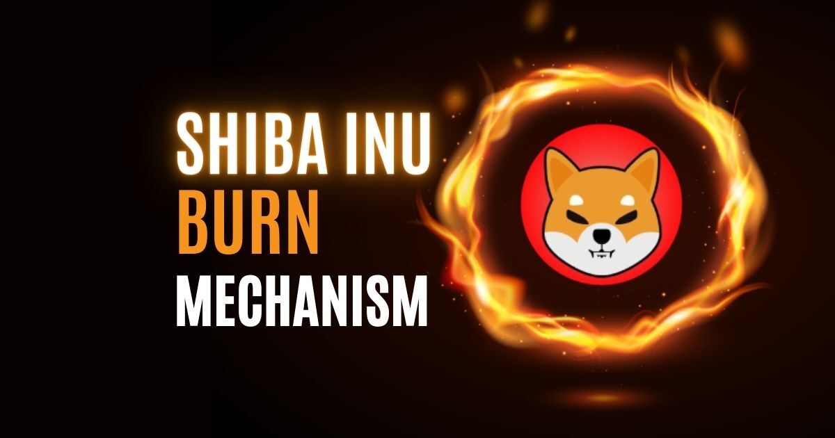 What Is the Shiba Inu Coin Burn Mechanism?
