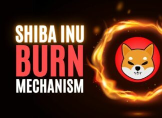 shiba inu burn mechanism