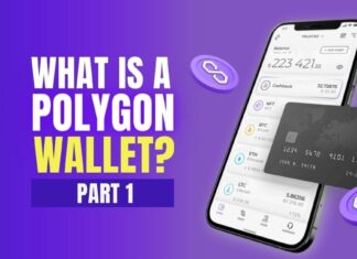 what is the polygon wallet