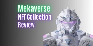 MekaVerse NFT Collection Review
