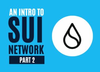 sui network review