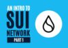 what is sui network