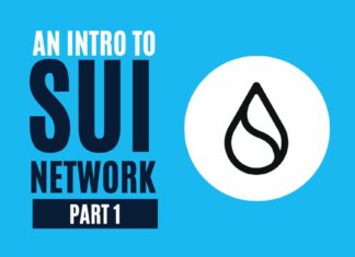 what is sui network