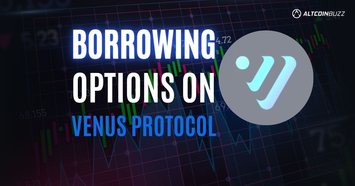 3 Great Ways to Borrow on Venus Protocol – DeFi