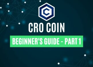 cro coin review