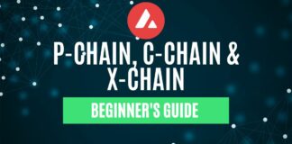 what is p-chain, c-chain and x-chain in avalanche