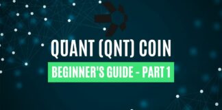 what is qnt coin