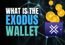 exodus wallet review