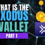 exodus wallet review