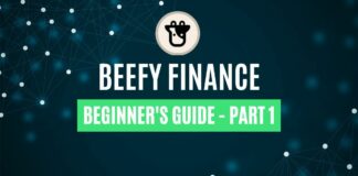 The Latest Beefy Finance Review - Part 1