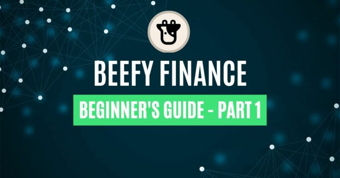 The Latest Beefy Finance Review - Part 1