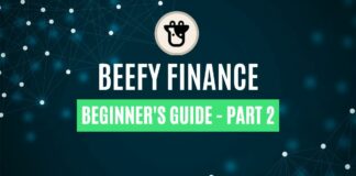 The Latest Beefy Finance Review - Part 2