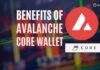 Benefits of the Core Wallet
