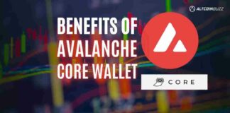 Benefits of the Core Wallet