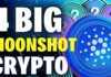 Top 4 Crypto Moonshots in Cardano ADA Ecosystem