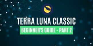 What Is Terra Luna Classic? Part 2