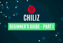 beginner's guide to chiliz part 1