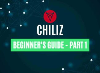 beginner's guide to chiliz part 1