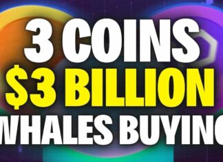 3 coins that crypto whales are buying