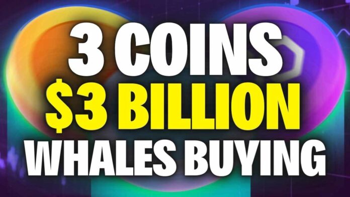 3 coins that crypto whales are buying