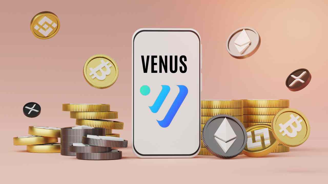 Is Venus Protocol Undervalued?