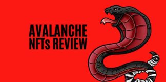 Avalanche NFTs Review