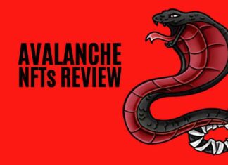 Avalanche NFTs Review