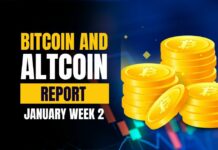 Bitcoin and Altcoin Report - January Week 2