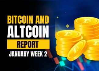 Bitcoin and Altcoin Report - January Week 2