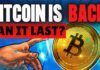 bitcoin bull market