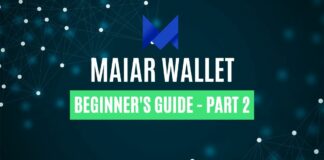 What Is the Maiar Wallet? Part 2