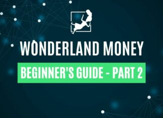 What Is Wonderland Money? Part 2