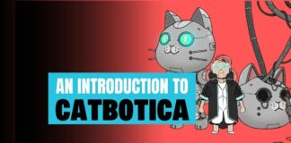 Introduction to Catbotica