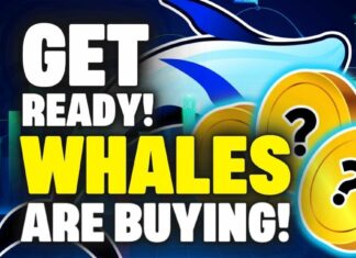 crypto whales are buying