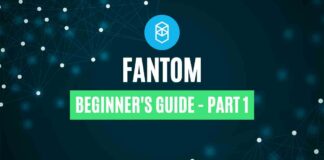 fantom beginner's guide part 1