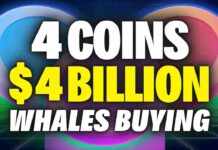 OMG! Crypto Whales Buying These 4 Altcoins - WHY???