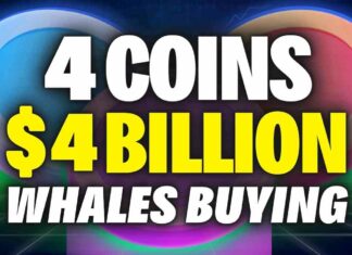 OMG! Crypto Whales Buying These 4 Altcoins - WHY???