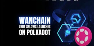 Wanchain Adds USDT XFlows to Polkadot