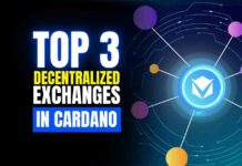 top decentralized exchanges in cardano