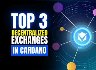 top decentralized exchanges in cardano