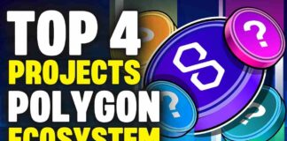 top 4 projects in polygon