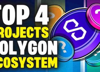 top 4 projects in polygon