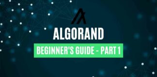 Algorand Beginner’s Guide - Part 1
