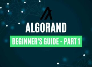Algorand Beginner’s Guide - Part 1