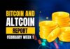 Bitcoin and Altcoins Report - February Week 1