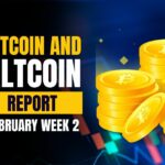 Bitcoin and Altcoins Report - February Week 2