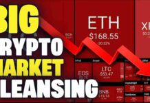 The BIG Bitcoin & Crypto Market Cleansing