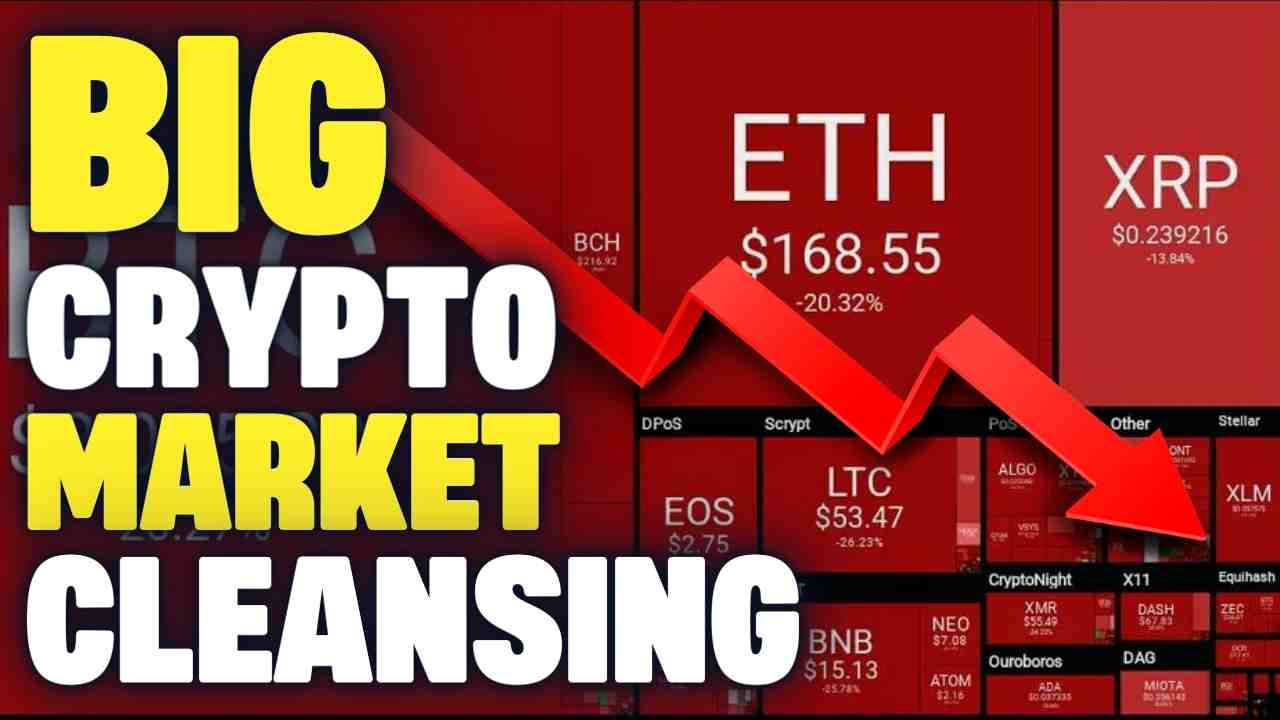 The BIG Bitcoin & Crypto Market Cleansing
