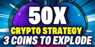 50x crypto strategy for bull run