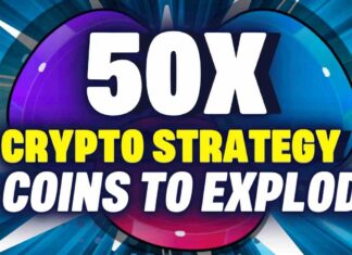 50x crypto strategy for bull run